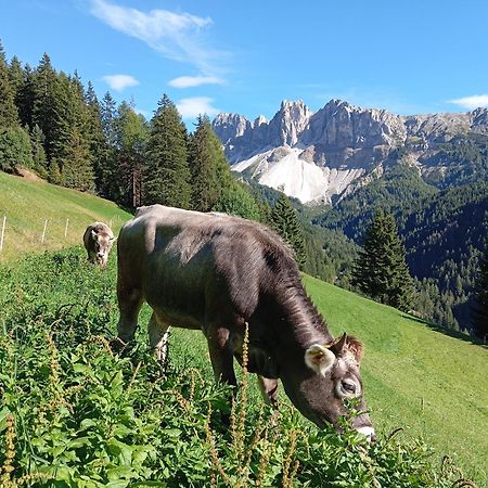 Zimmererhof Bressanone Dış mekan fotoğraf